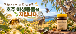 호주 허니
