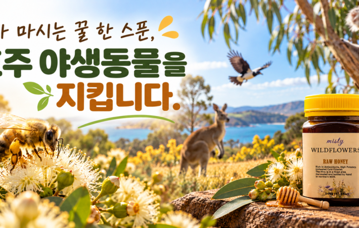 호주 허니
