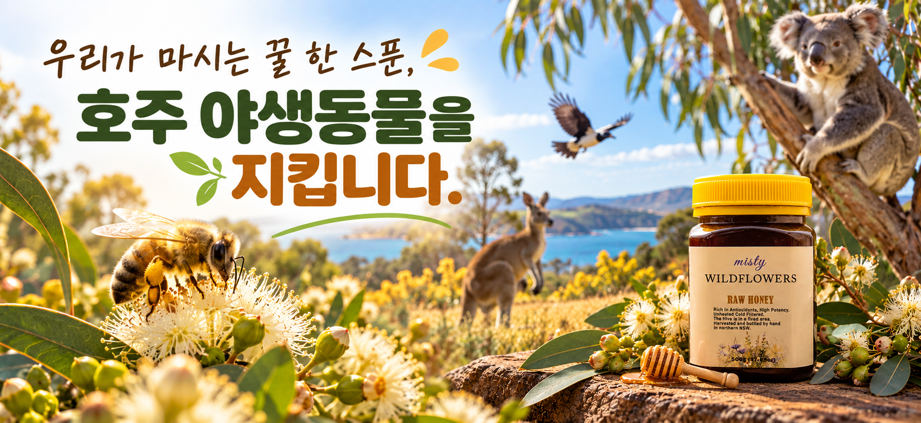호주 허니